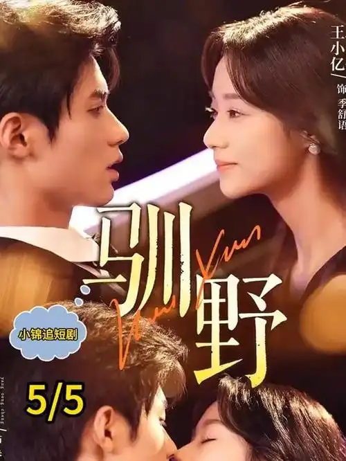 无声证词律政悬疑剧全集免费观看
